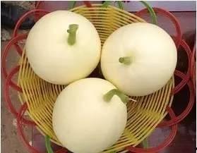 小白瓜怎么吃窍门,解锁美味新境界  第2张