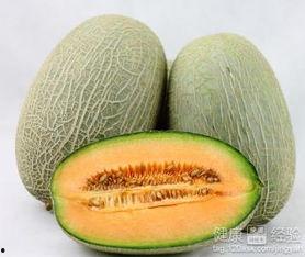 吃哈密瓜可以吃蒲公英吗,探索夏日消暑美食的奇妙组合  第3张